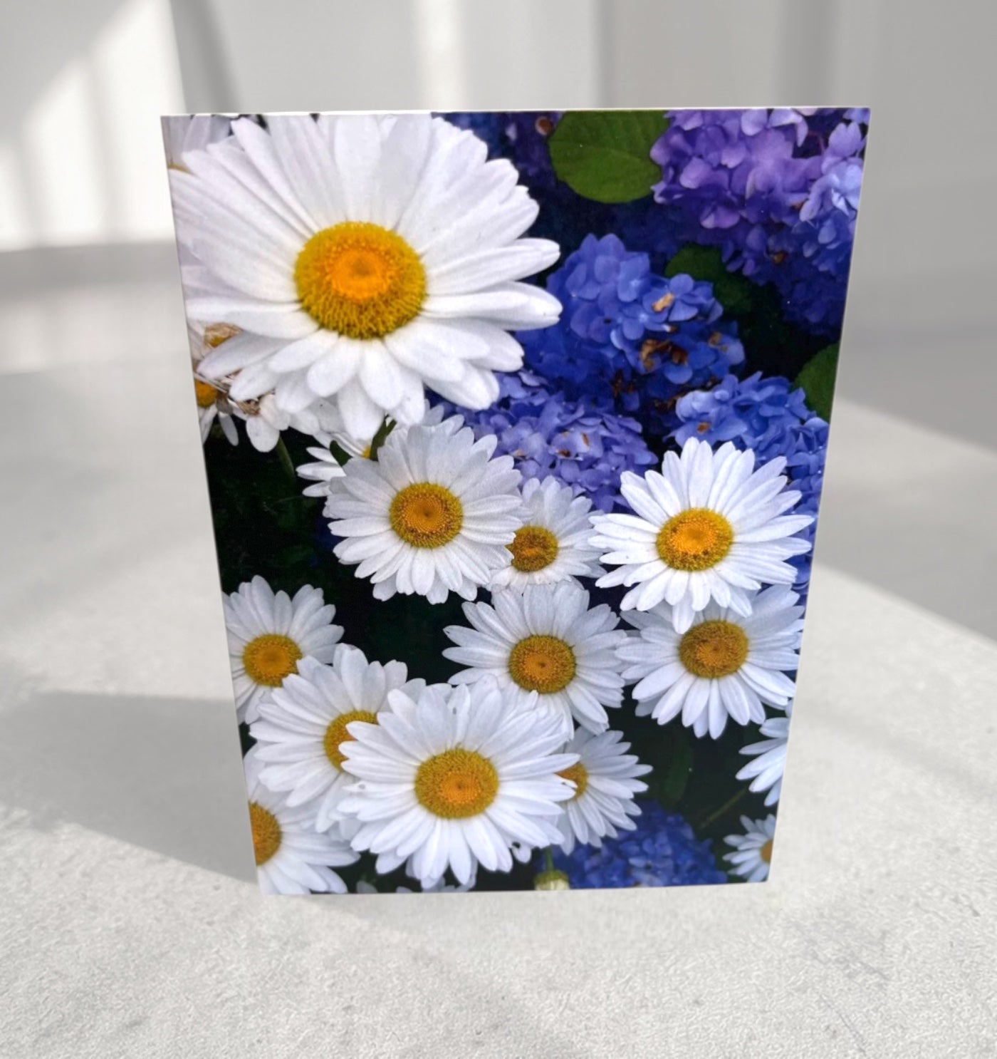 Daisy greeting card with white daisies and purple hydrangeas