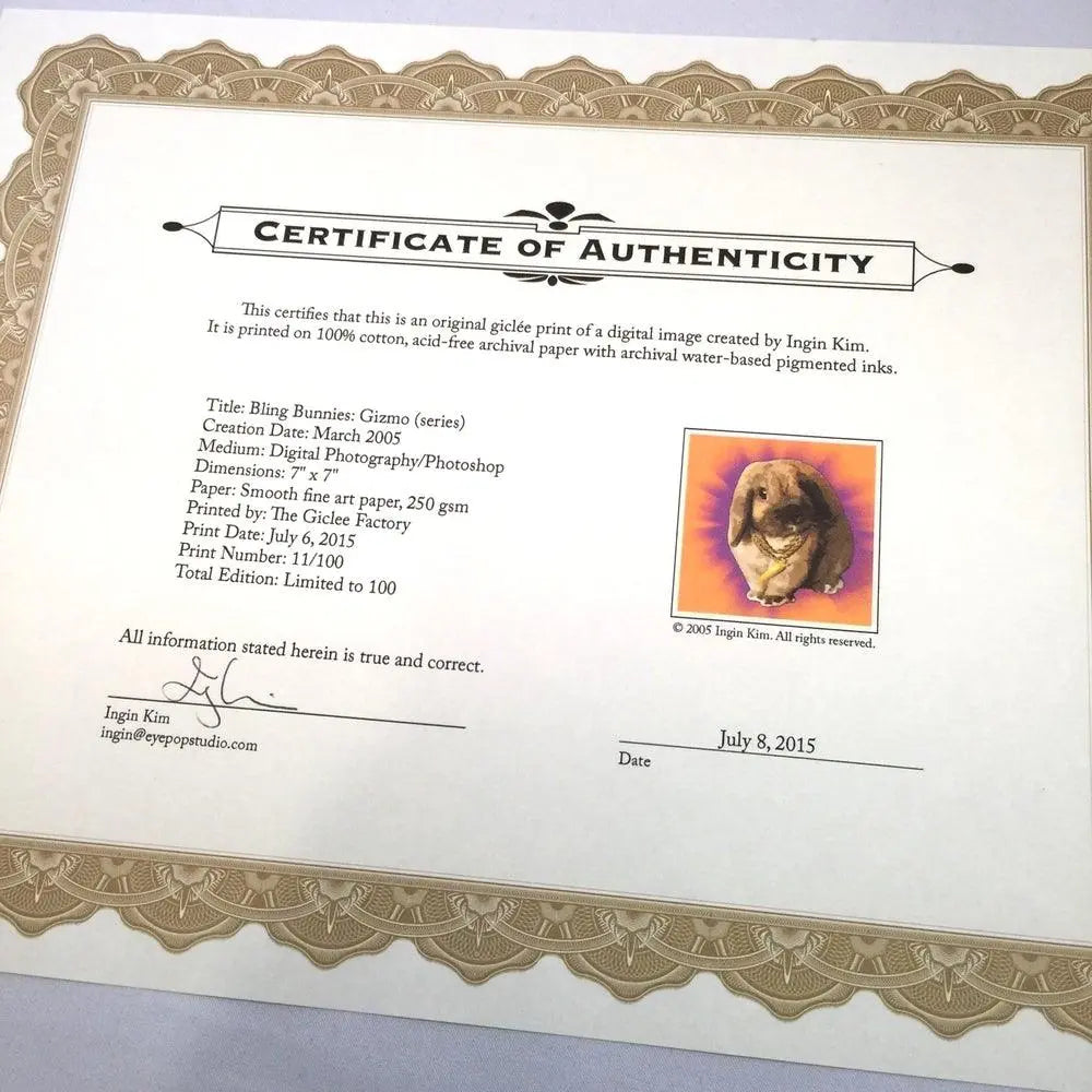 Bling Bunnies, Gizmo & Momo - Uni-T