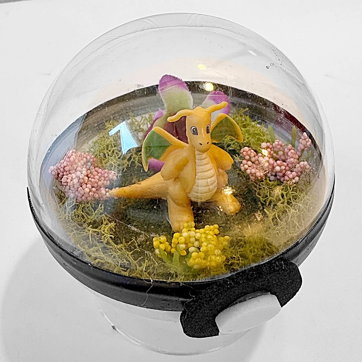 Pokeball Terrarium (Copy) (Copy) (Copy)