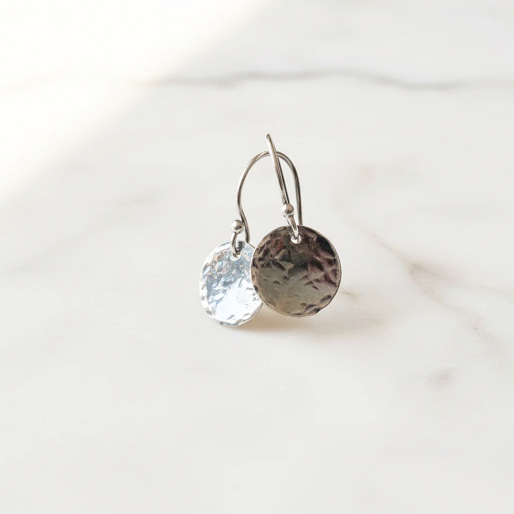 Silver Disk Earrings Moon Earrings