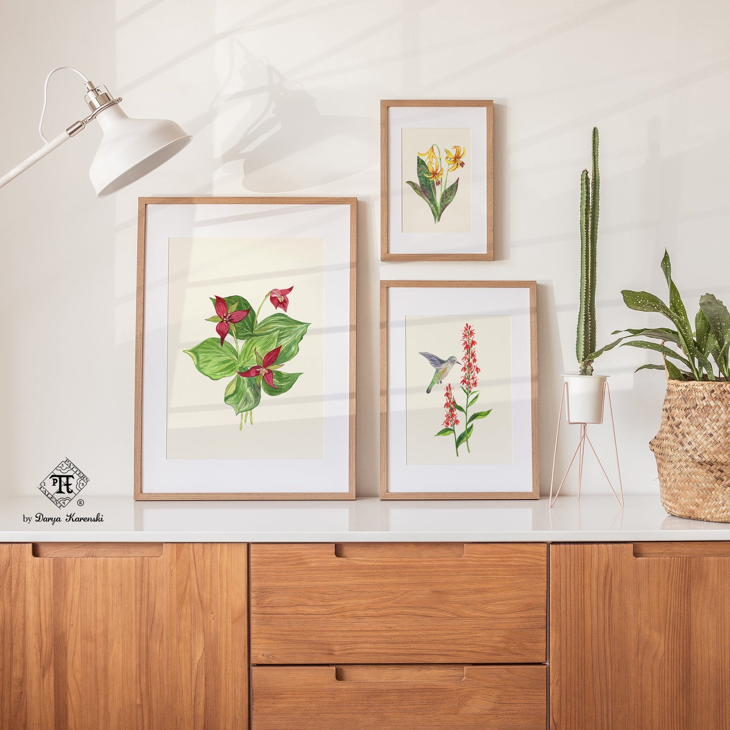 Framed botanical art prints on wall with plants