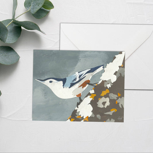 Nuthatch Bird Note Card Mandy Warhol Fine Art