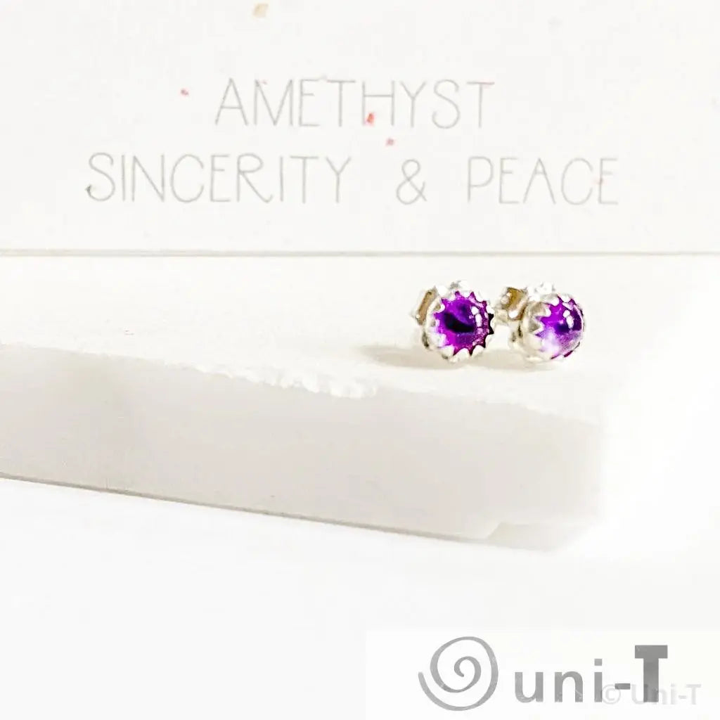 Amethyst Stud Earrings, Birthday Gemstone - February Janine Gerade