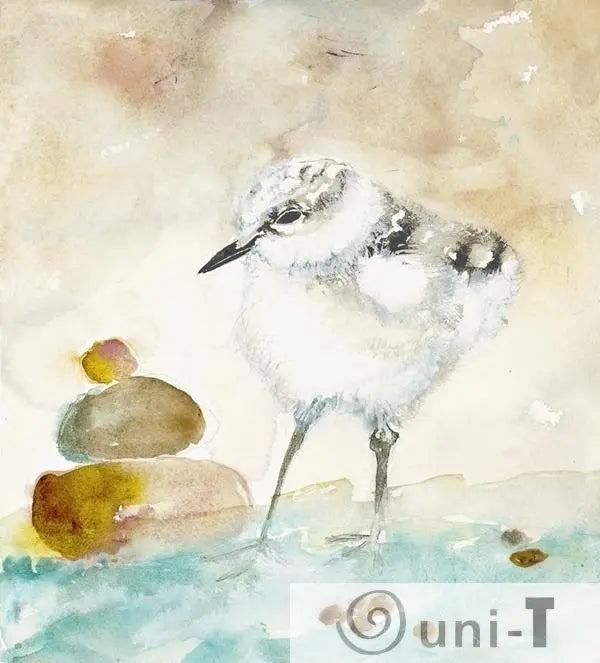 Calidris - Giclee Print Jodie Apeseche