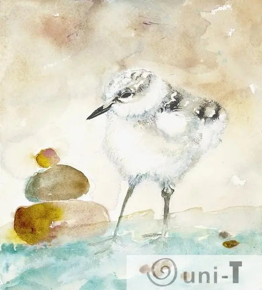 Calidris - Giclee Print Jodie Apeseche