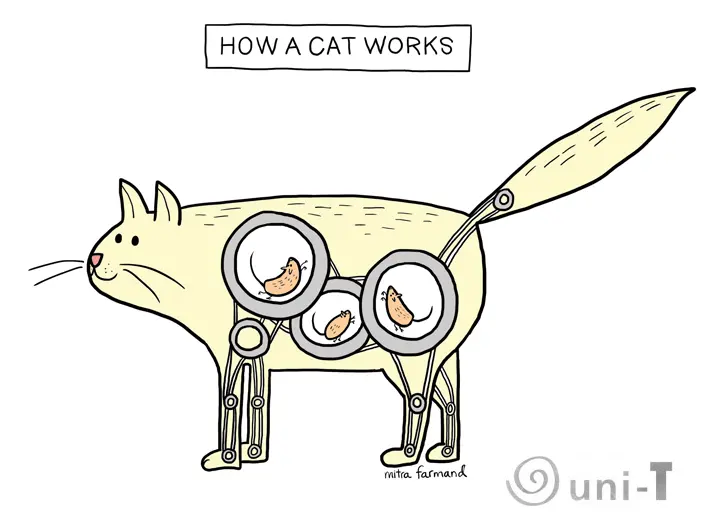 Funny Postcards Mitra Farmand