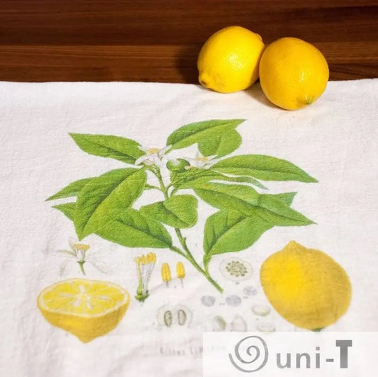 Lemon Gift Basket Ityng Deng