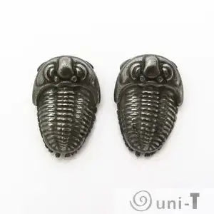 Close-up of trilobite earrings jewelry pair with intricate fossil detailing, excellent for fossil collectors and science lovers.
