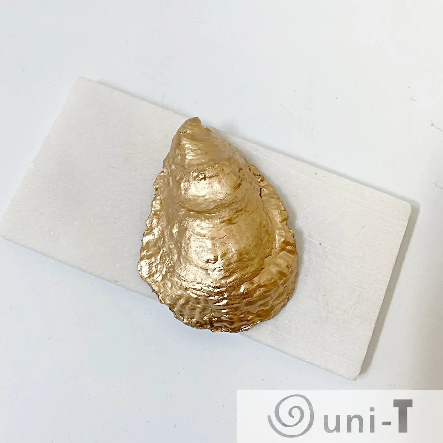 Tropical Leaf Decoupage Oyster Shell Jewelry Dish Ana Razavi