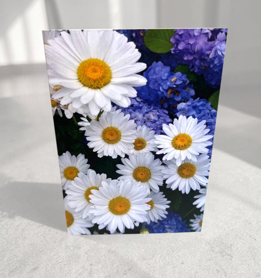 Daisy greeting card with white daisies and purple hydrangeas