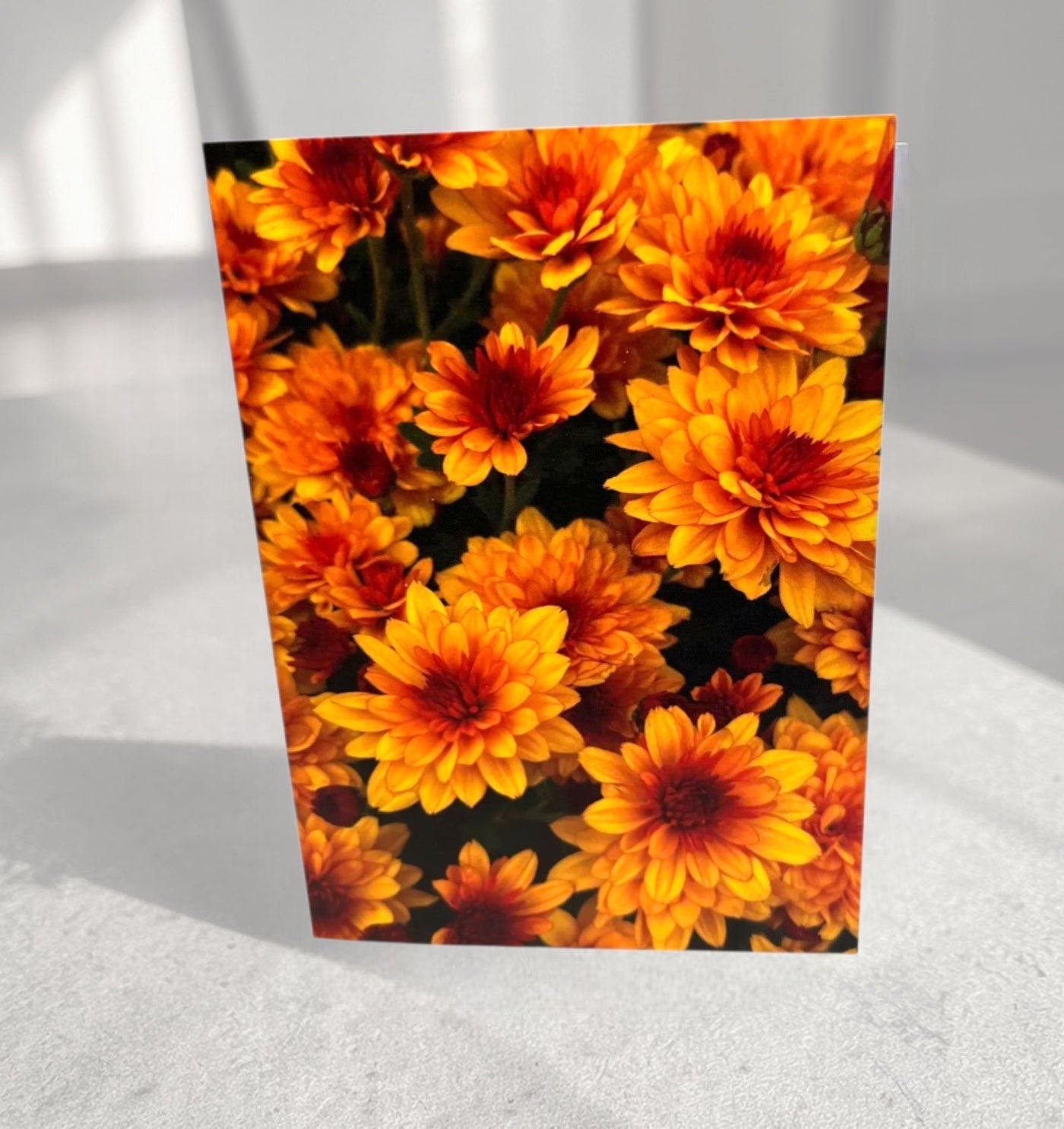 Autumn blooms greeting card