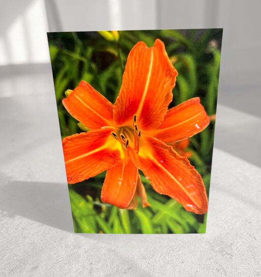 Orange flower card