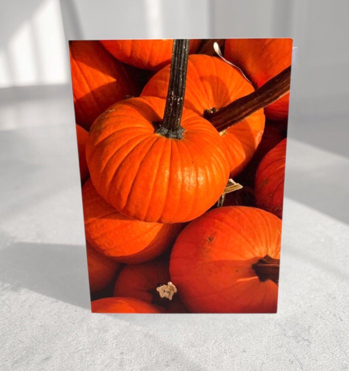 Pumpkin Patch - Fall Collection Greeting Cards
