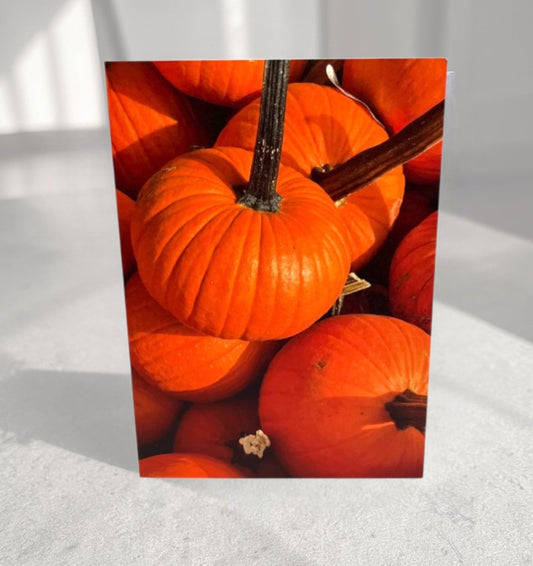 Pumpkin Patch - Fall Collection Greeting Cards