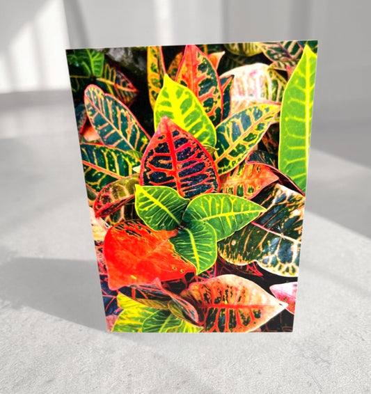 Colorful tropical leaves greeting card