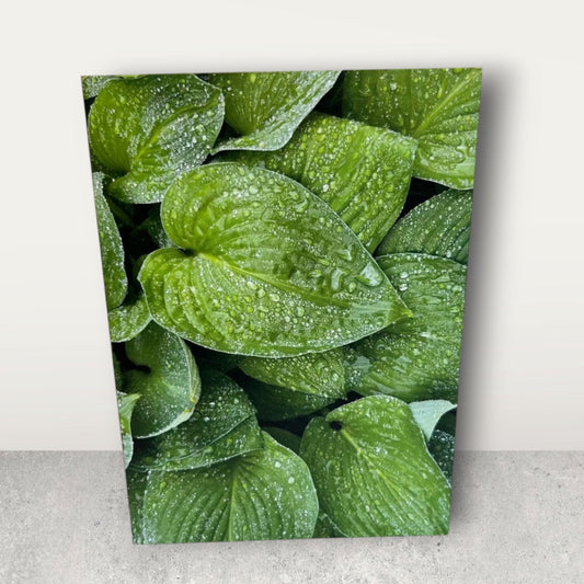 Bejeweled Greens - Green Collection