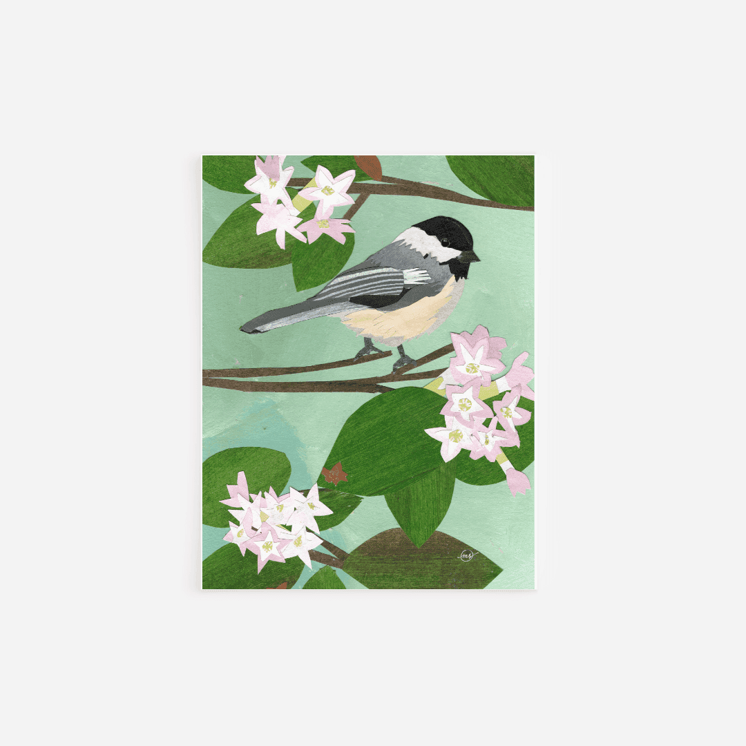 Massachusetts Mayflower Chickadee Note Card Mandy Warhol Fine Art