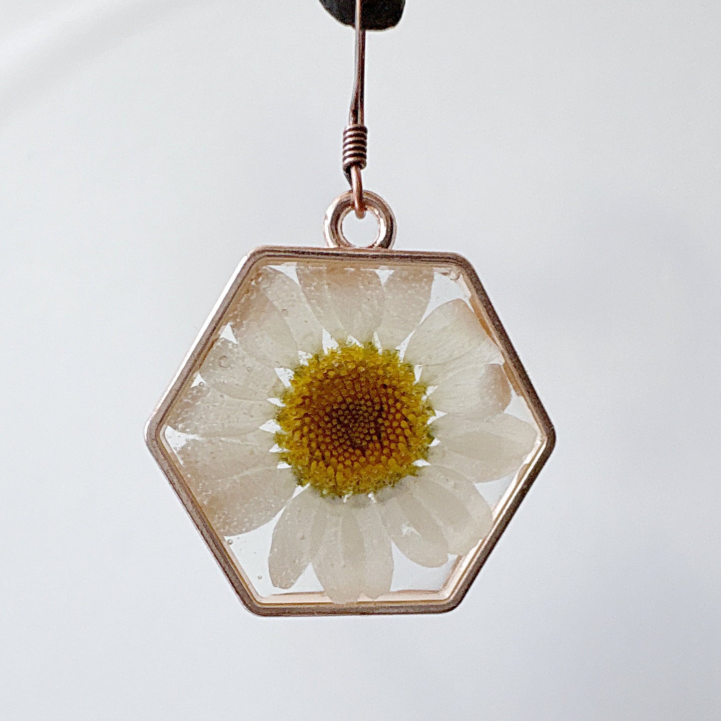 Real Flower Earrings White Daisy