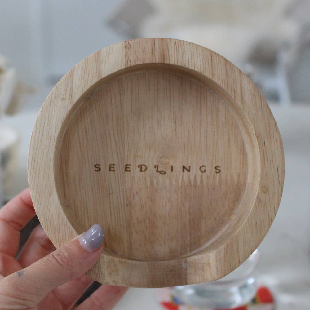 Sustainable rubber wood coaster holder engraved with 'Seedlings', showcasing eco-conscious craftsmanship for stylish table organization.