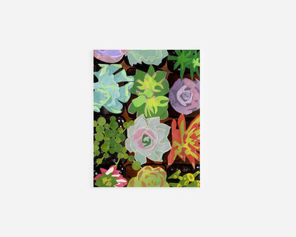 Succulents Note Card Mandy Warhol Fine Art