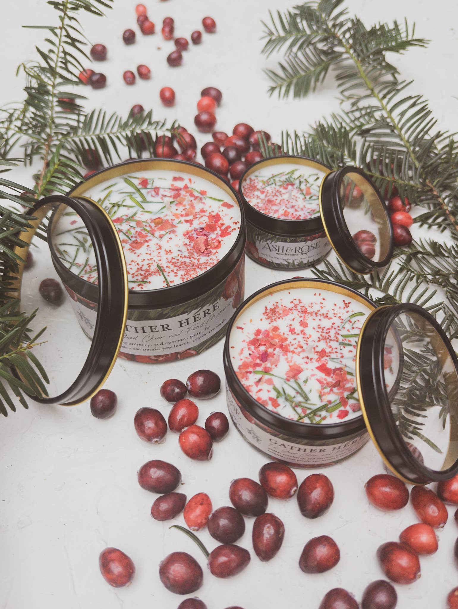 Gather Here Cranberry Pine Soy Tin Candle Rose Petal Yew