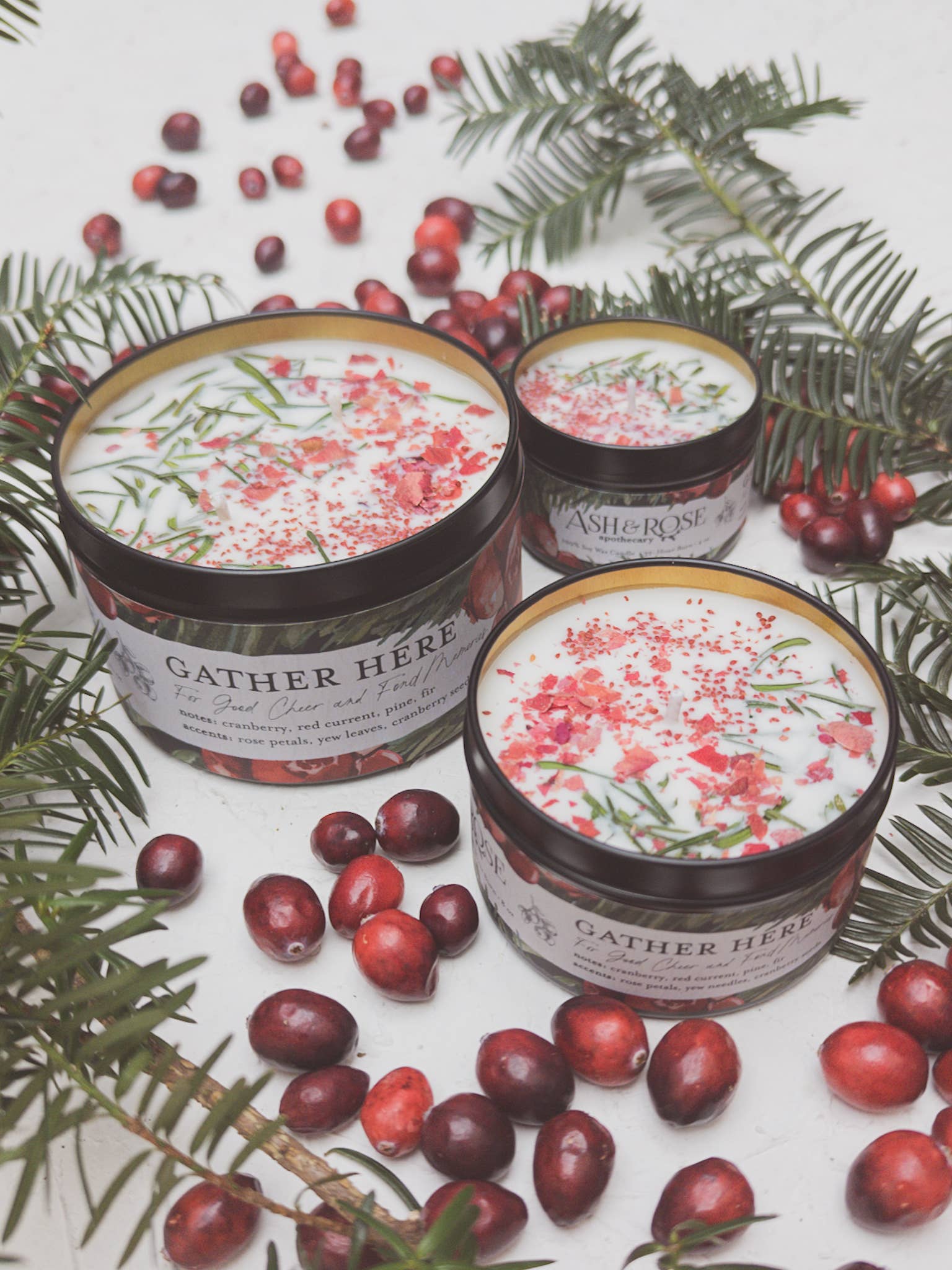 Gather Here Cranberry Pine Soy Tin Candle Rose Petal Yew