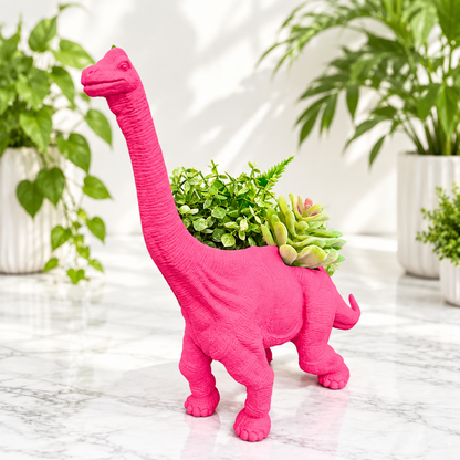 66a52de5c47c9c3ce95361c2_dragonfruit-pink-apatosaurus-dinosaur-planter-front_1790451550806.png