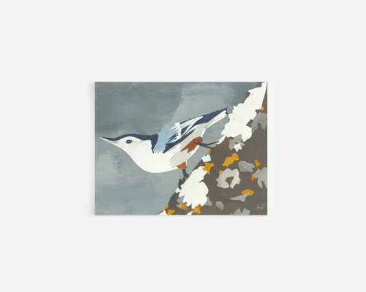Nuthatch Bird Note Card Mandy Warhol Fine Art