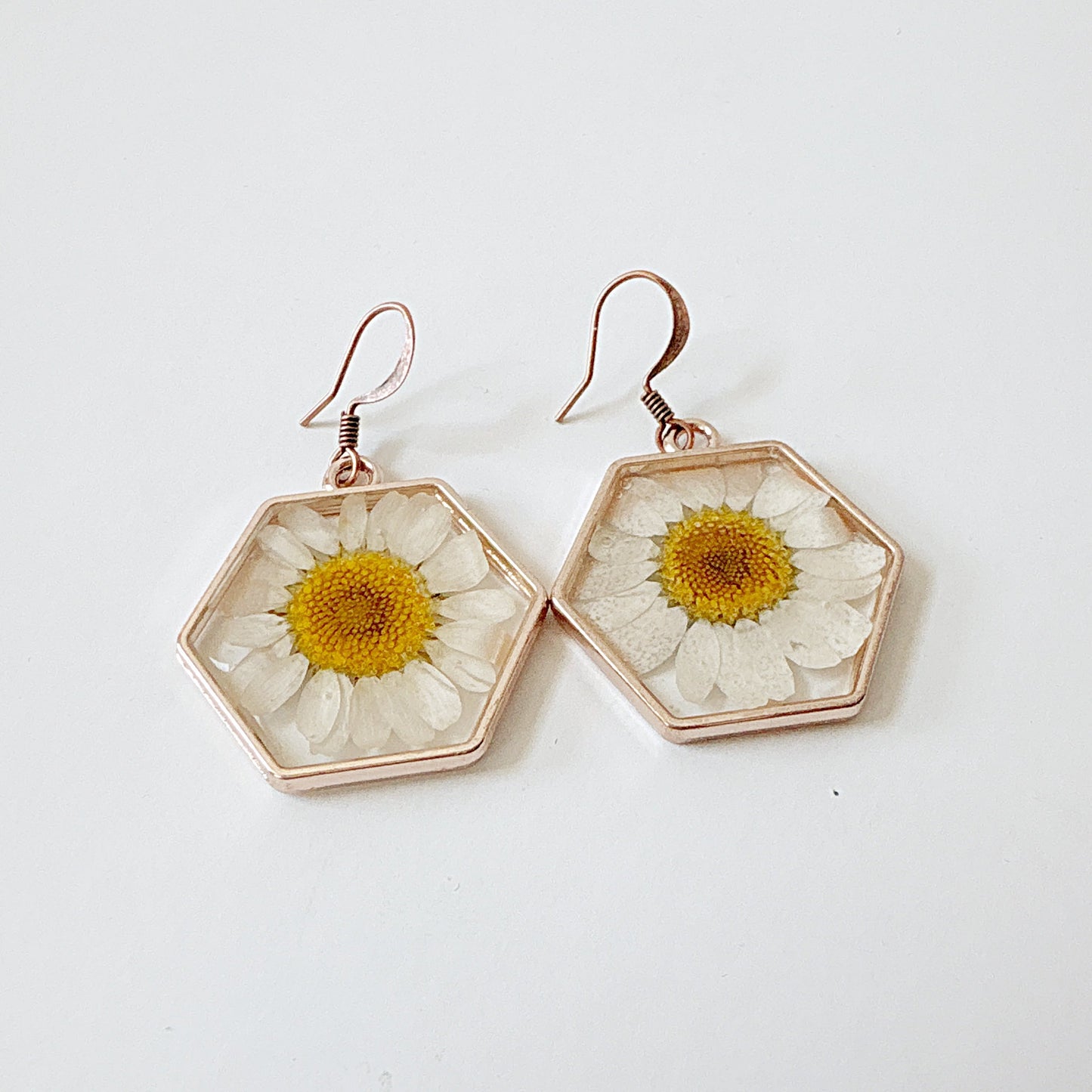 Real Flower Earrings White Daisy