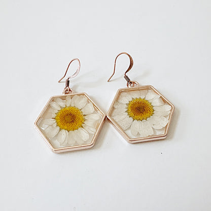 Real Flower Earrings White Daisy