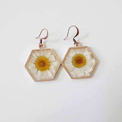 Real Flower Earrings White Daisy