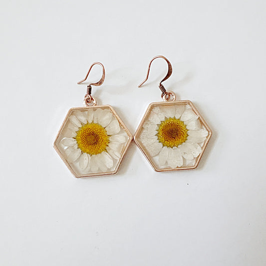 Real Flower Earrings White Daisy