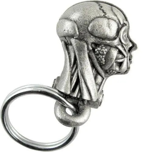 Back view of Anatomical Human Head Keychain showing smooth metallic skull design. Part of the Anatomical Head Keychain - Human Model collection.