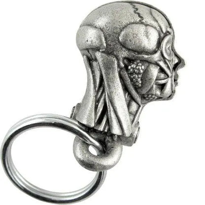 Back view of Anatomical Human Head Keychain showing smooth metallic skull design. Part of the Anatomical Head Keychain - Human Model collection.