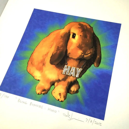 Bling Bunnies, Gizmo & Momo - Uni-T