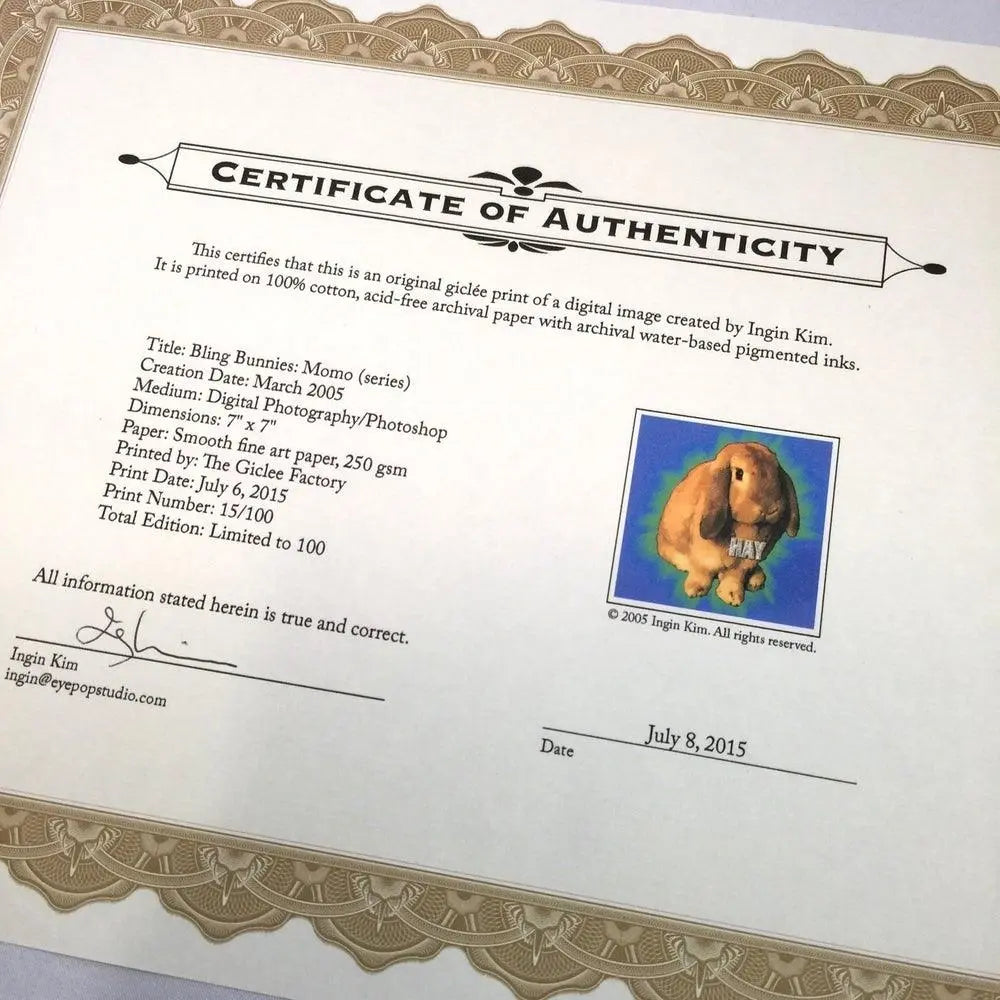 Bling Bunnies, Gizmo & Momo - Uni-T