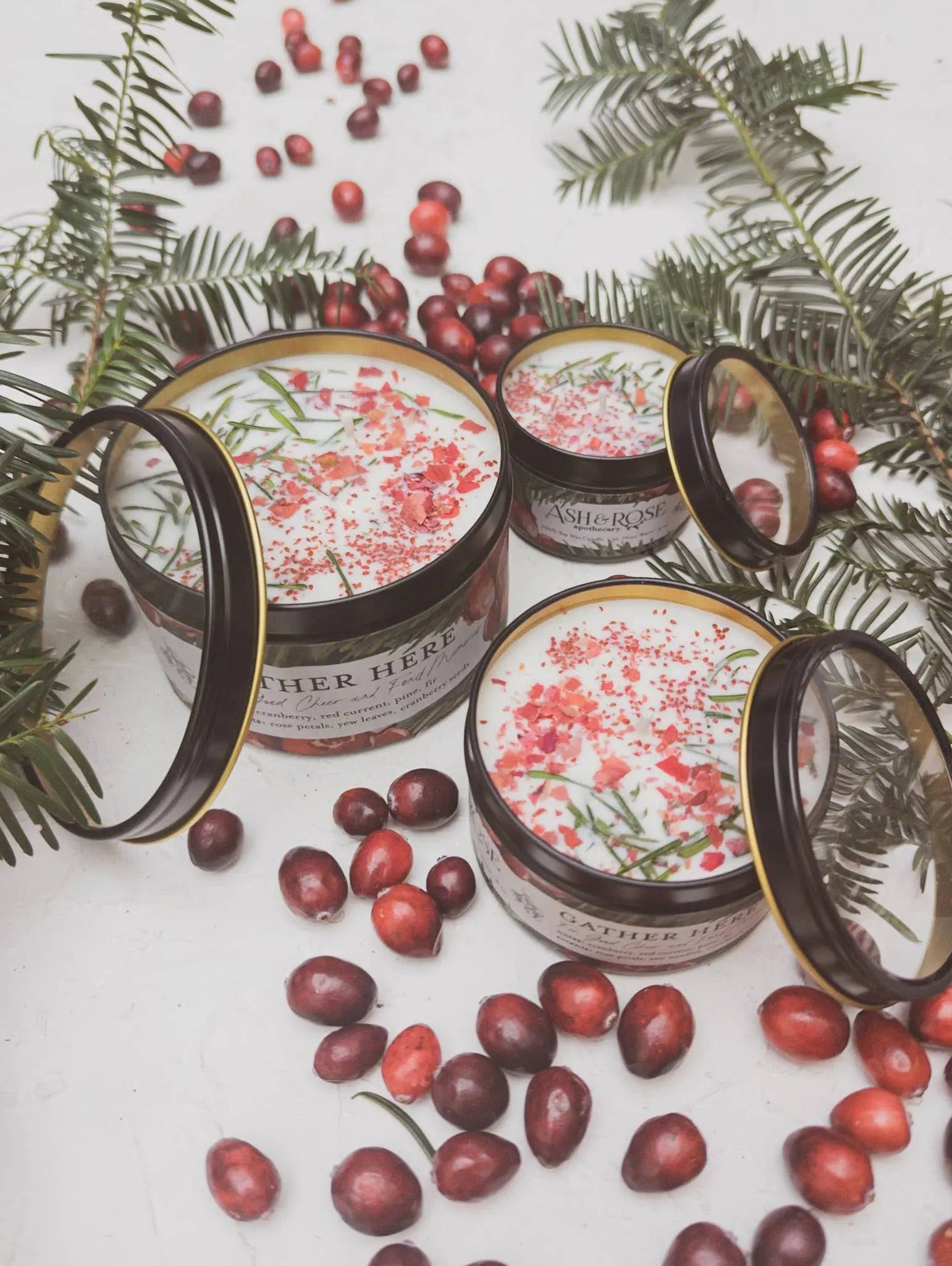 Gather Here Cranberry Pine Soy Tin Candle Rose Petal Yew Ash & Rose
