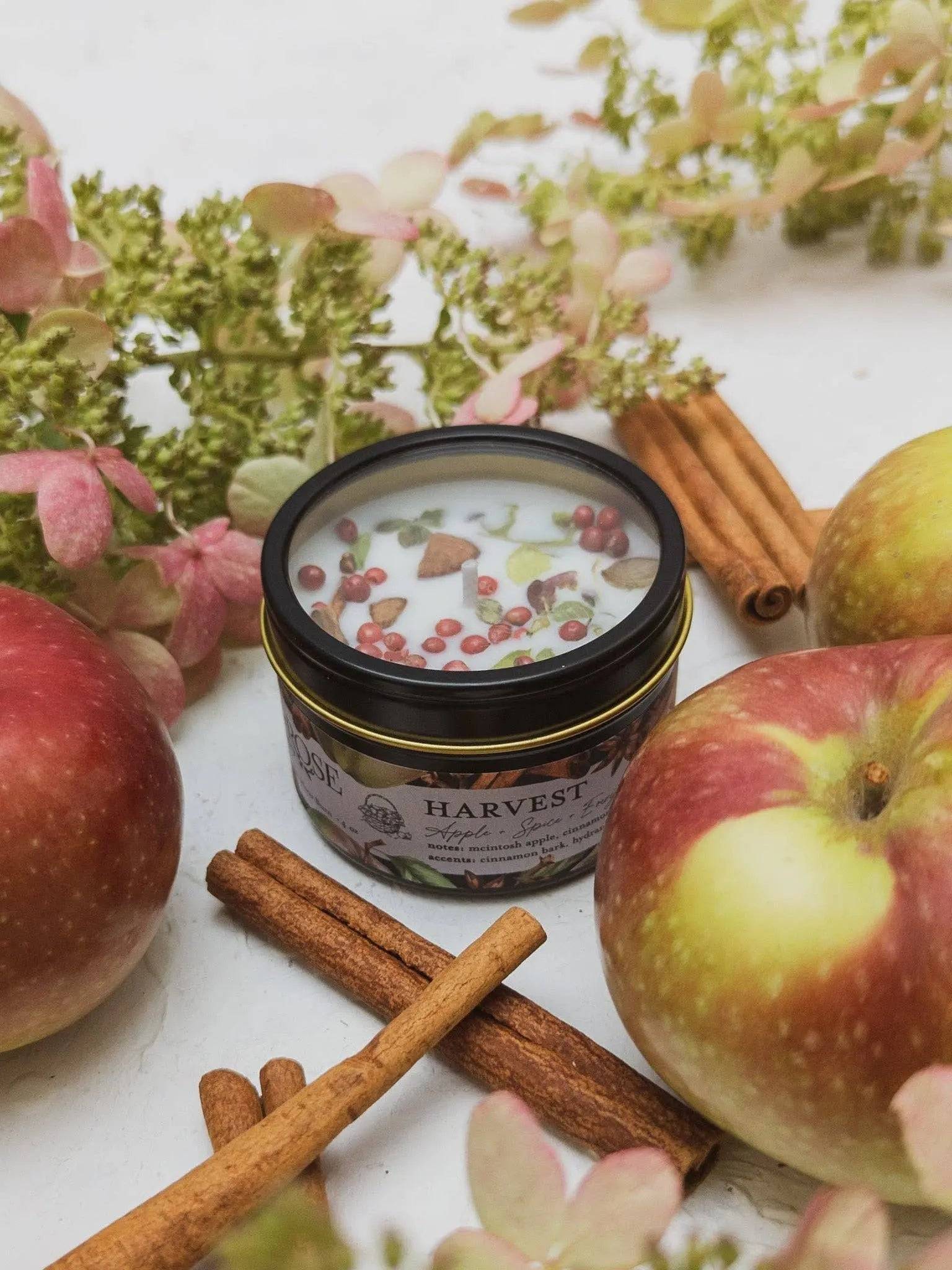 HARVEST Apple Spice Candle Ash & Rose