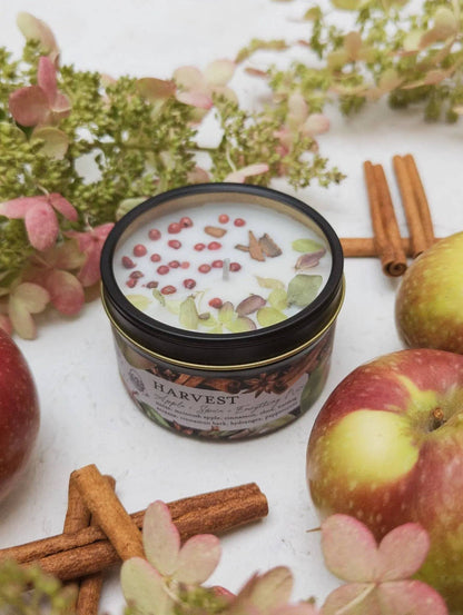 HARVEST Apple Spice Candle Ash & Rose