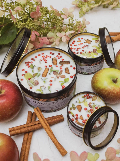 HARVEST Apple Spice Candle Ash & Rose