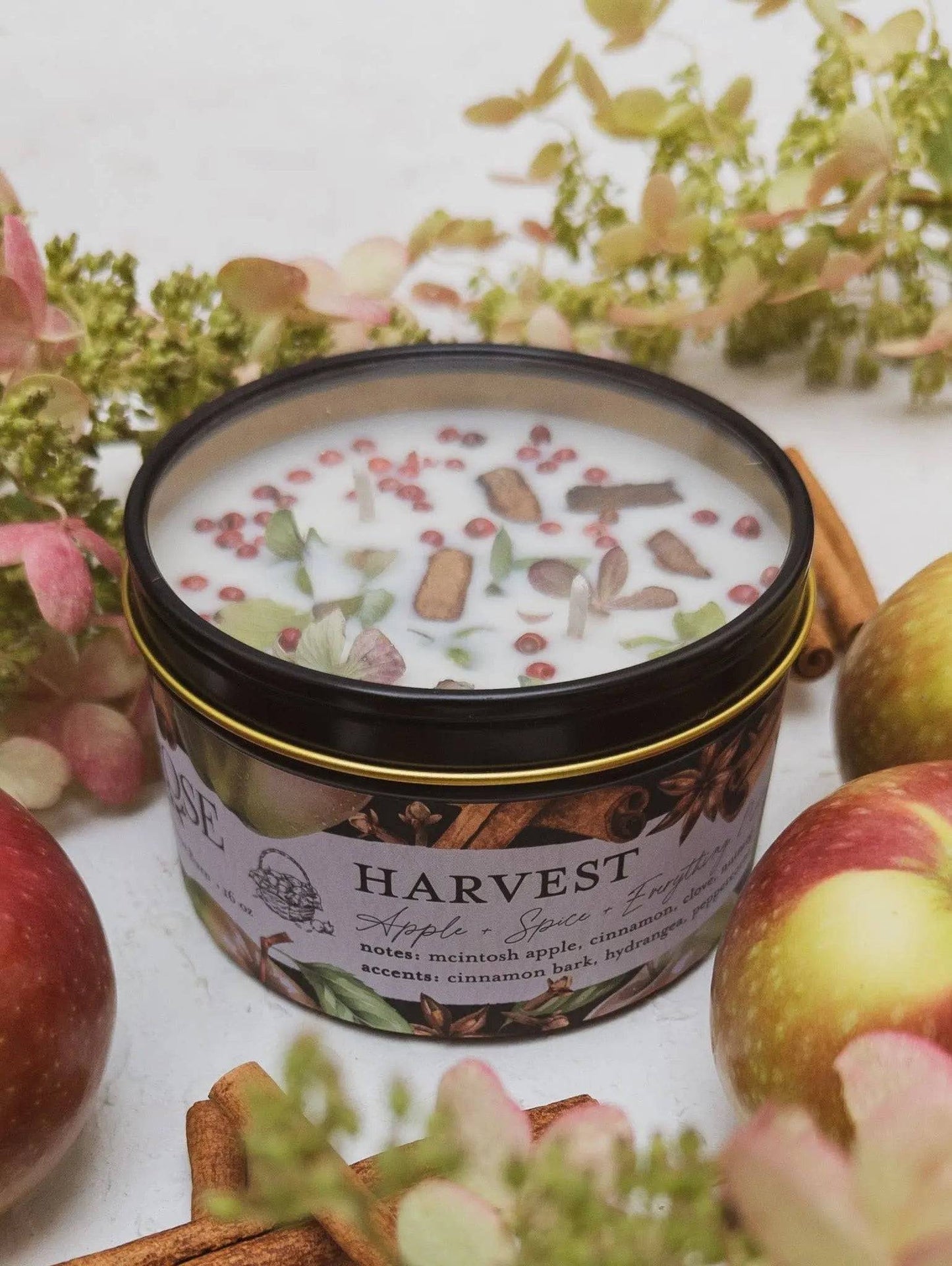HARVEST Apple Spice Candle Ash & Rose