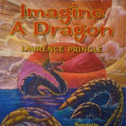 IMAGINE A DRAGON