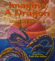 IMAGINE A DRAGON