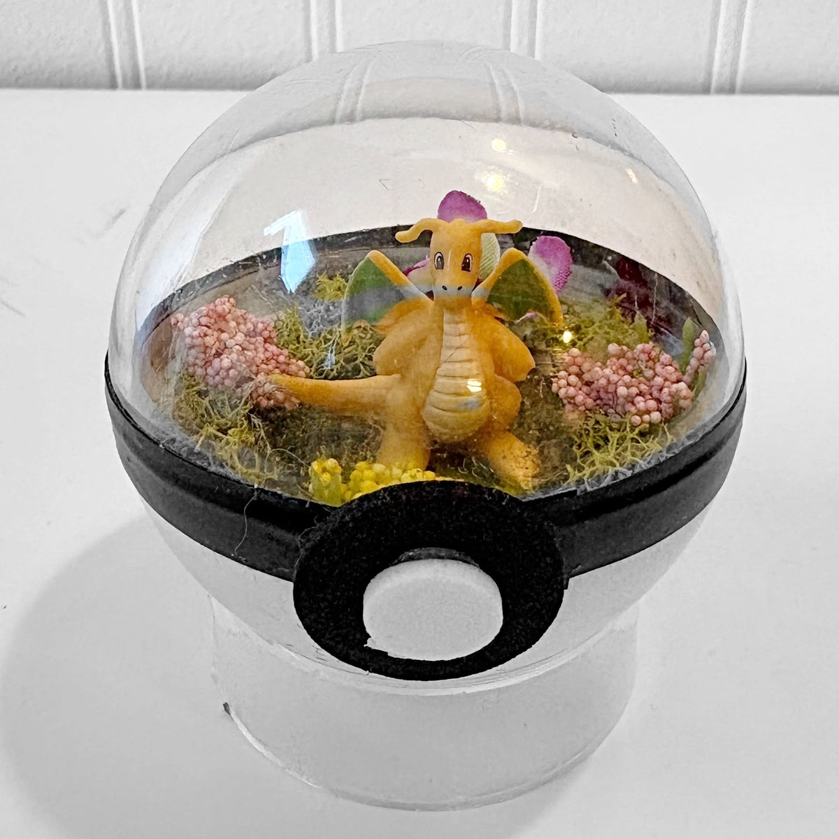 Pokeball Terrarium (Copy) (Copy) (Copy)