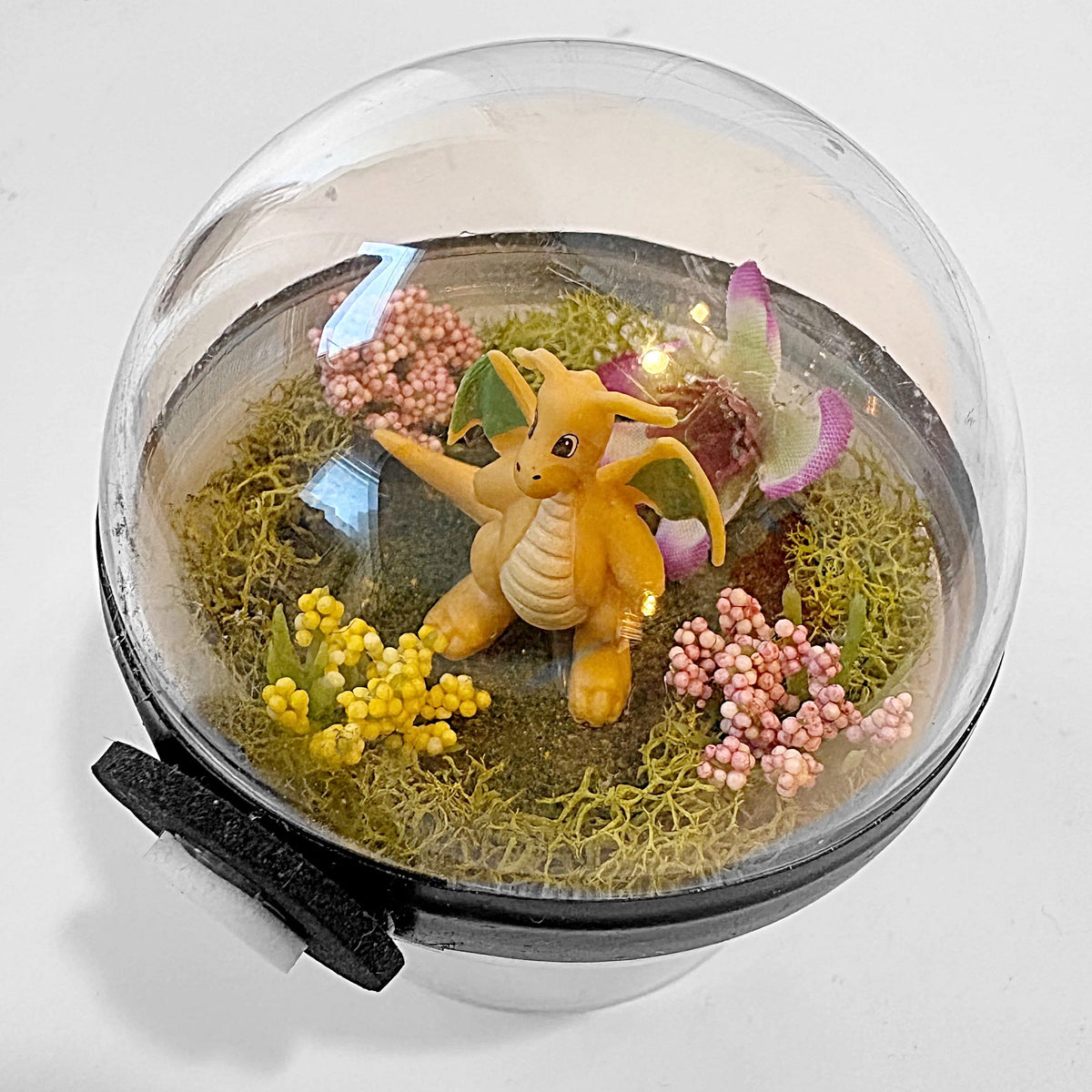 Pokeball Terrarium (Copy) (Copy) (Copy)