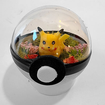Small Pikachu Pokeball Terrarium