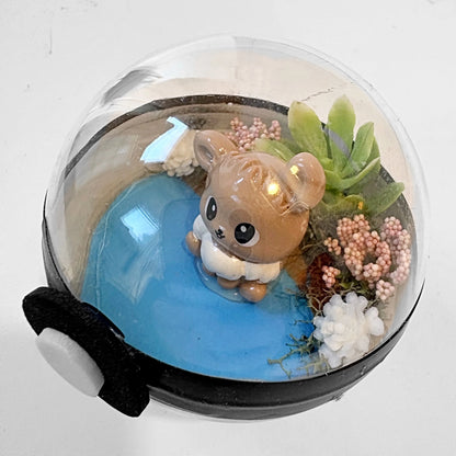 Pokeball Terrarium (Copy) (Copy) (Copy) (Copy) (Copy)