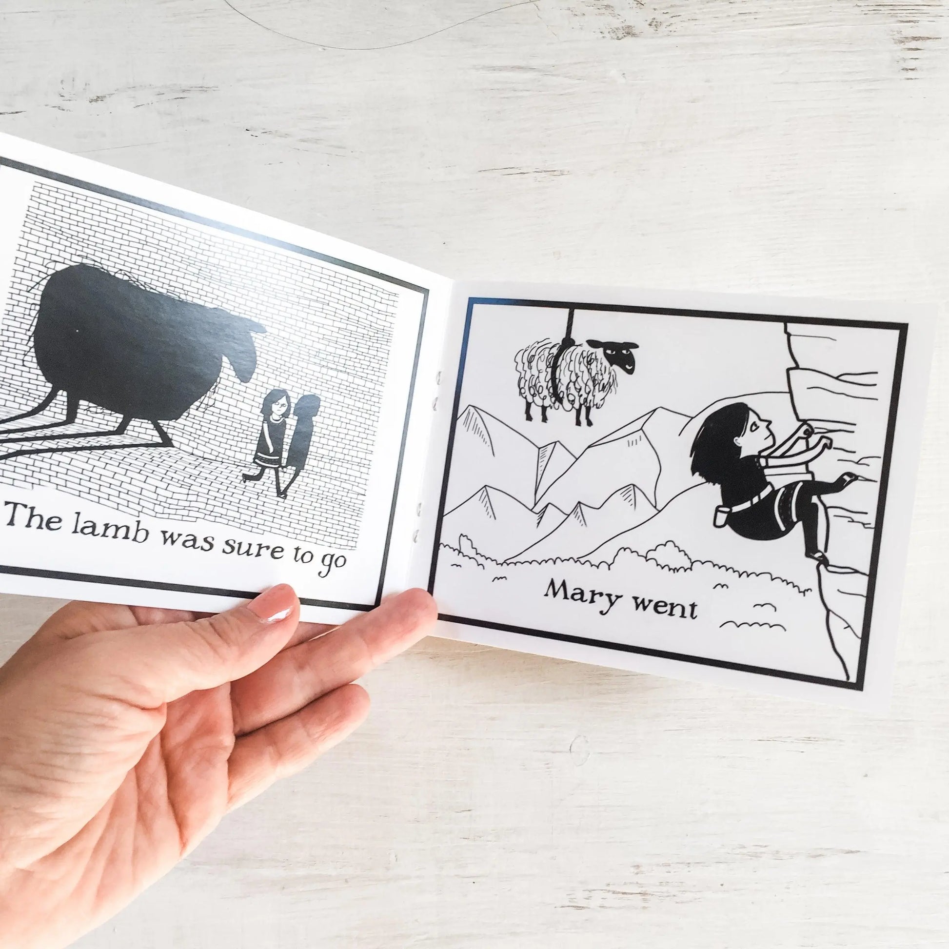 Mary Had A Little Lamb Book for Grown Ups - Uni-T