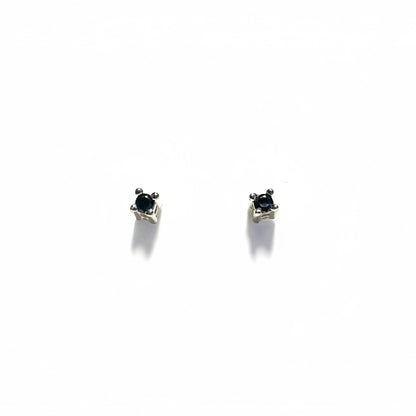 Jewelry design tag with black gemstone earrings
