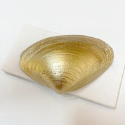 Sea Turtle Clam Shell Ring Dish Ana Razavi